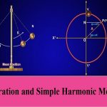 محاضرة بعنوان Vibration and Simple Harmonic Motion